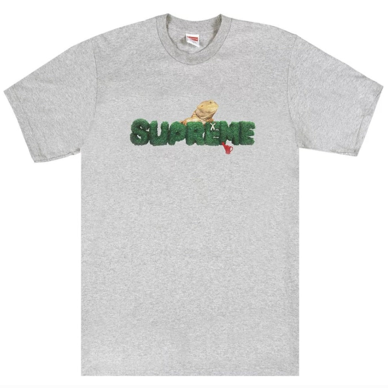 Supreme Lizard Tee 'Heather Grey'